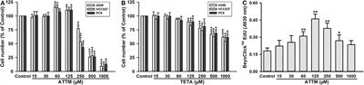 Is Hydrogen Sulfide a Concern During Treatment of Lung Adenocarcinoma With Ammonium Tetrathiomolybdate?